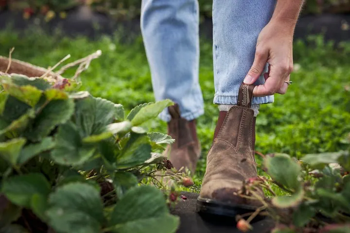 Blundstone 585 Classic boot Rustic Brown