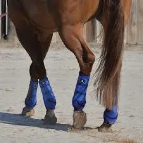 Classic Equine Blue CrossFit Back Protective Boots Medium